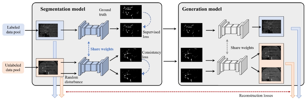 Generative consistency for semi-supervised cerebrovascular segmentation from TOF-MRA