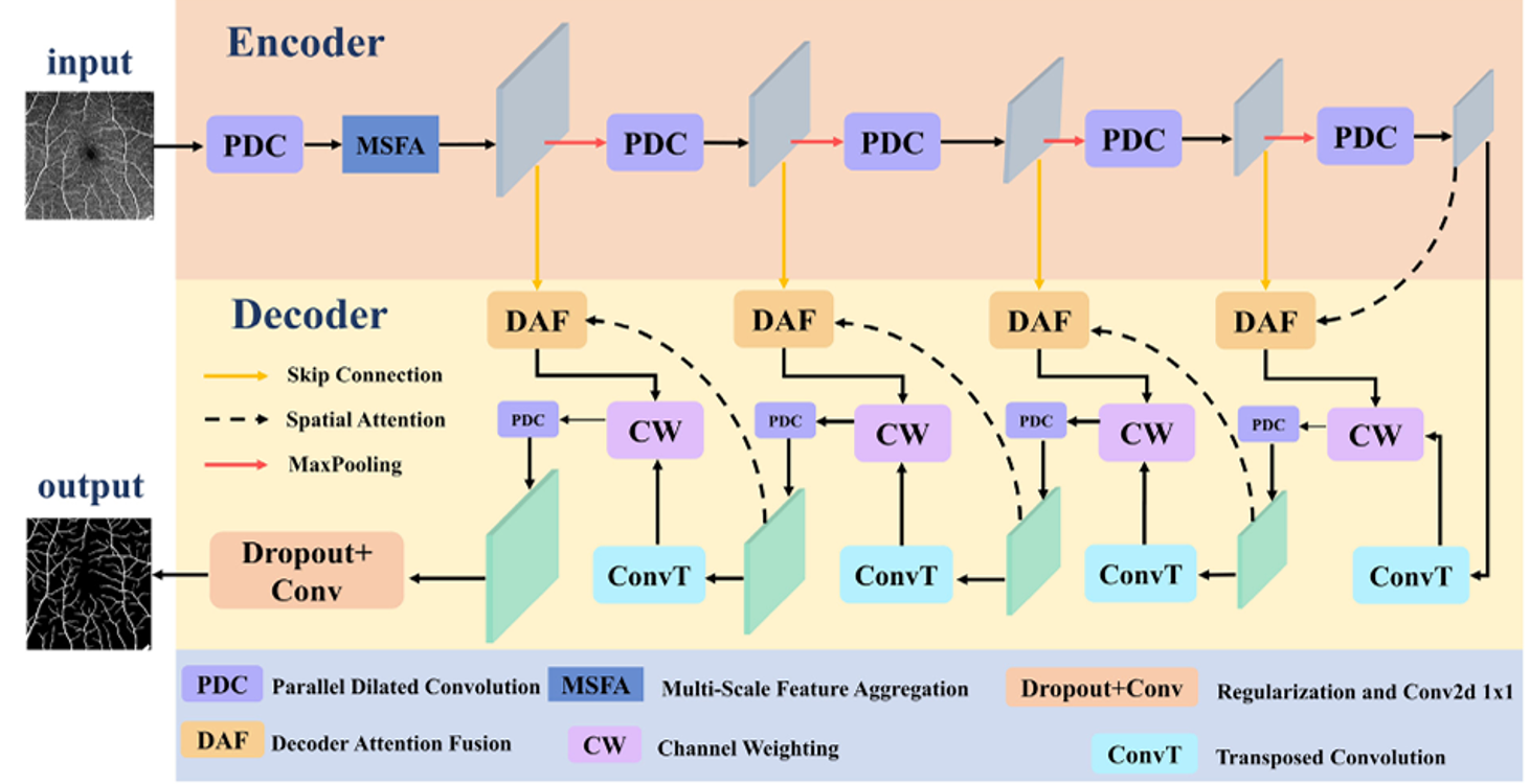 PMDC-Net: Channel-weighted multi-scale dilated feature network for robust retinal vessel segmentation in OCTA